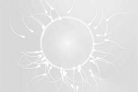 Fertility